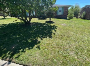 Christia E.'s grass maintenance service result