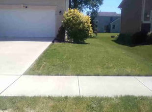 Nathan P.'s Bush Trimming service result