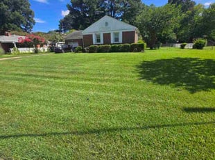 William B.'s grass cutting service result