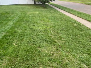 Evelyn C.'s lawn maintenance service result