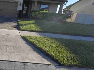Tod P.'s grass cutting service result