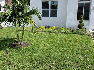 Daniel C.'s lawn care services service result