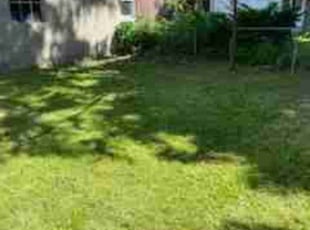 Randy K.'s turf care service result