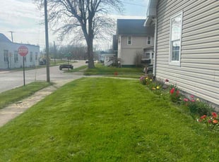Lauren B.'s lawn care service result