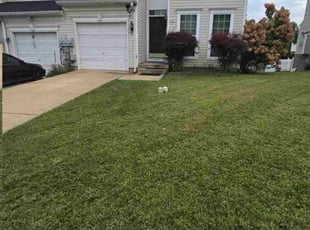 Bernadette D.'s turf care service result