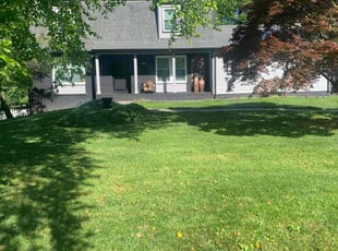 Takisha W.'s turf care service result