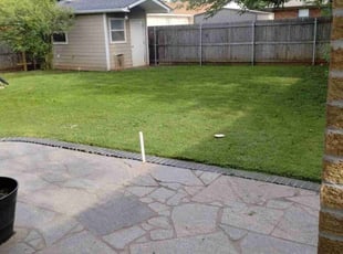 Angela T.'s turf care service result