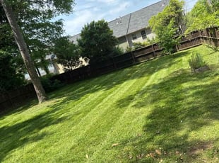 Susan C.'s Long Grass Cleanup service result