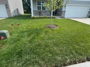 James D.'s yard care service result