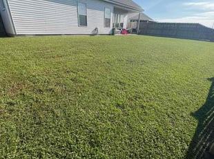 Roxanne S.'s lawn maintenance service result