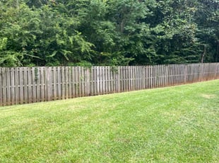 Jason B.'s turf maintenance service result