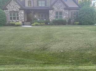 Rod P.'s lawn care services service result
