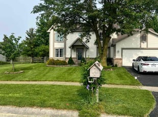 Cheryl C.'s grass maintenance service result