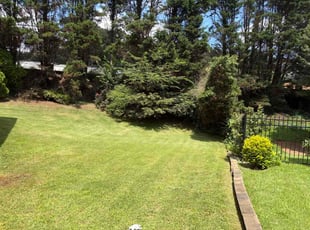 Normie T.'s lawn care services service result