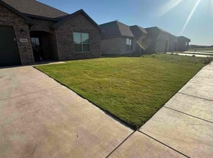 Maria E.'s turf care service result