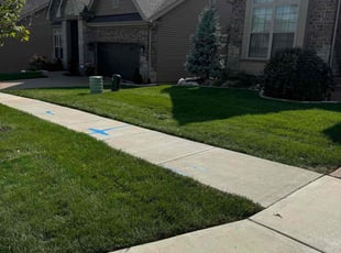 Nate J.'s landscape maintenance service result