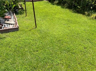 Heather D.'s yard maintenance service result