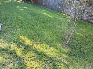 Harrison F.'s grass maintenance service result