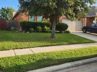 Toya F.'s grass maintenance service result