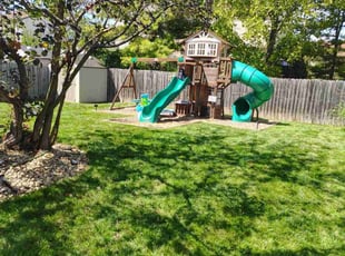 Valerie H.'s lawn care services service result