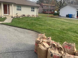 Mindi V.'s Leaf Removal service result