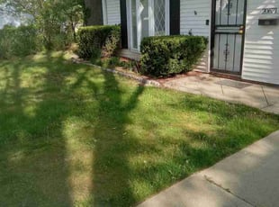 Michael S.'s Bush Trimming service result