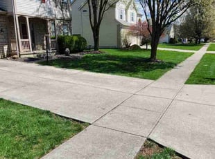 Bill S.'s lawn maintenance service result
