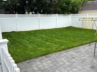 Shernette H.'s grass maintenance service result
