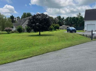 Max J.'s grass cutting service result