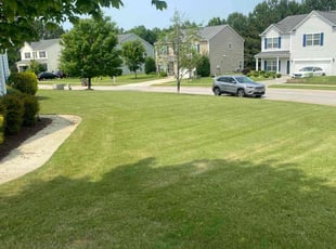 Jacqueline C.'s lawn care service result