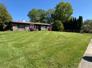 Maria G.'s grass maintenance service result