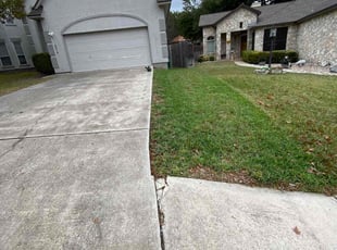 Deborah B.'s Leaf Removal service result