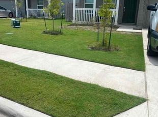Mario G.'s grass maintenance service result