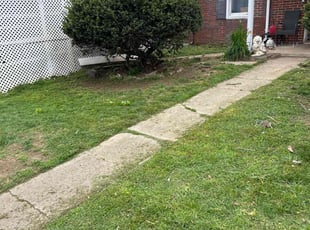 Carla C.'s Bush Trimming service result