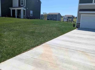 Pam E.'s grass cutting service result