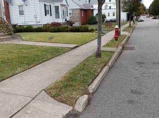 Darlene J.'s lawn maintenance service result