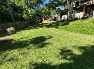 Alisa C.'s turf care service result
