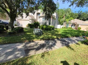 Yuan Z.'s turf care service result