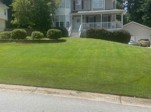 Myriam K.'s grass cutting service result