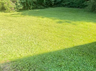 Onei A.'s lawn care services service result