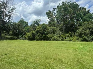 David V.'s lawn maintenance service result