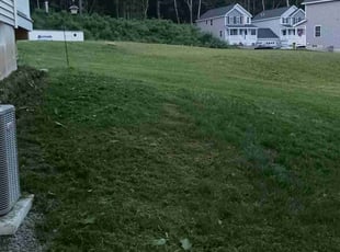 Roxanne W.'s lawn care service result