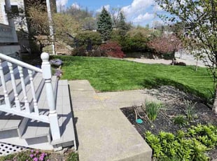 Matthew P.'s grass maintenance service result