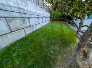 Denise B.'s lawn service service result