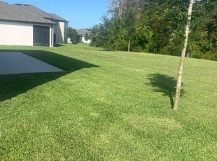 Anabel M.'s turf maintenance service result