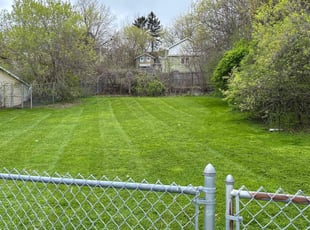 Darnella W.'s lawn service service result