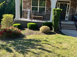 Latisha M.'s Bush Trimming service result