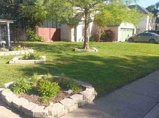 Mariah H.'s grass maintenance service result