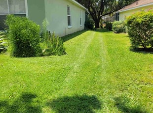 Louie C.'s turf maintenance service result