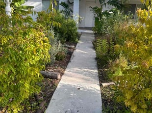 Tristin E.'s lawn care service result